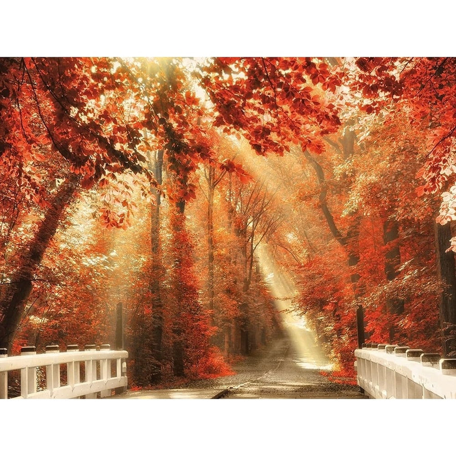 Red for Rest Poster Print - Lars Van de Goor-VARPDX14456 Image 1