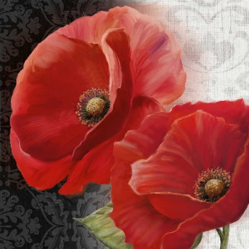 Poppy Perfection II Poster Print by Conrad Knutsen-VARPDX14474 Image 2