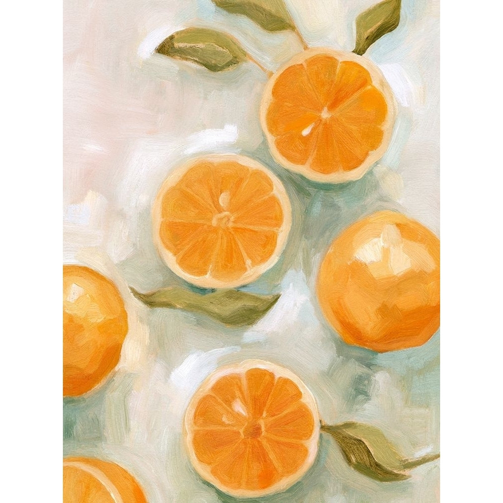 Fresh Citrus VI Poster Print - Emma Scarvey-VARPDX144786Z Image 1