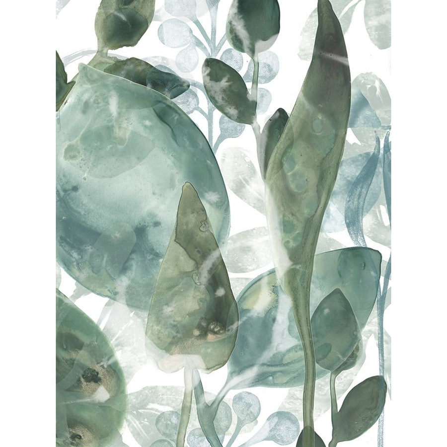 Aquatic Leaves IV Poster Print - June Erica Vess-VARPDX144820Z Image 1