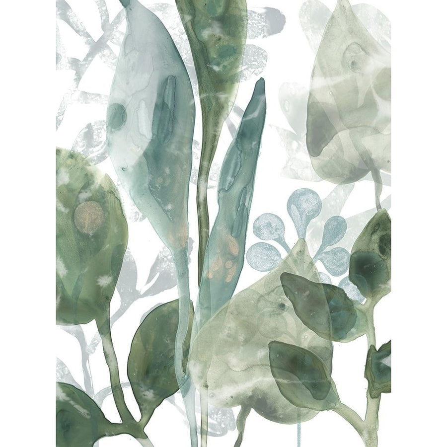 Aquatic Leaves III Poster Print - June Erica Vess-VARPDX144819Z Image 1