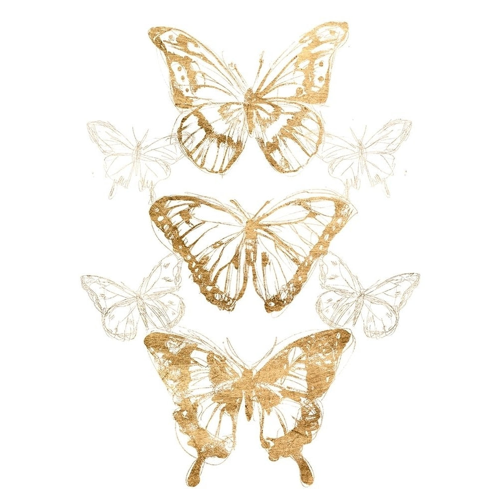 Gold Butterfly Contours II Poster Print - June Erica Vess-VARPDX144856Z Image 1