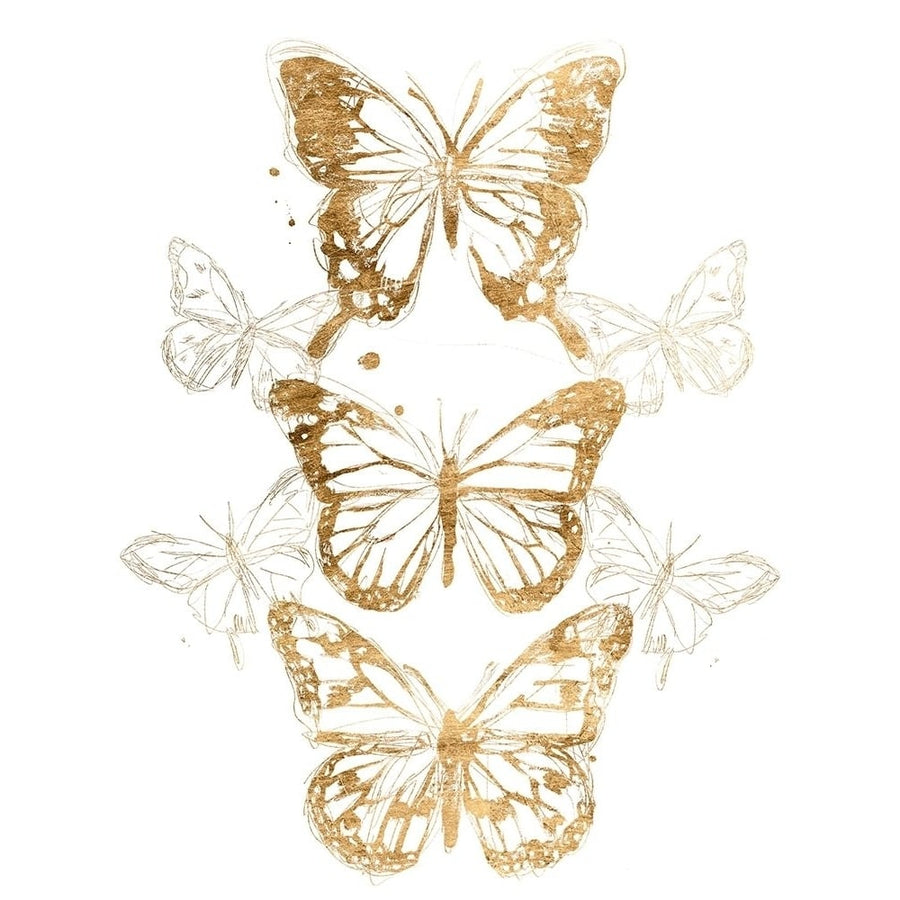 Gold Butterfly Contours I Poster Print - June Erica Vess-VARPDX144855Z Image 1