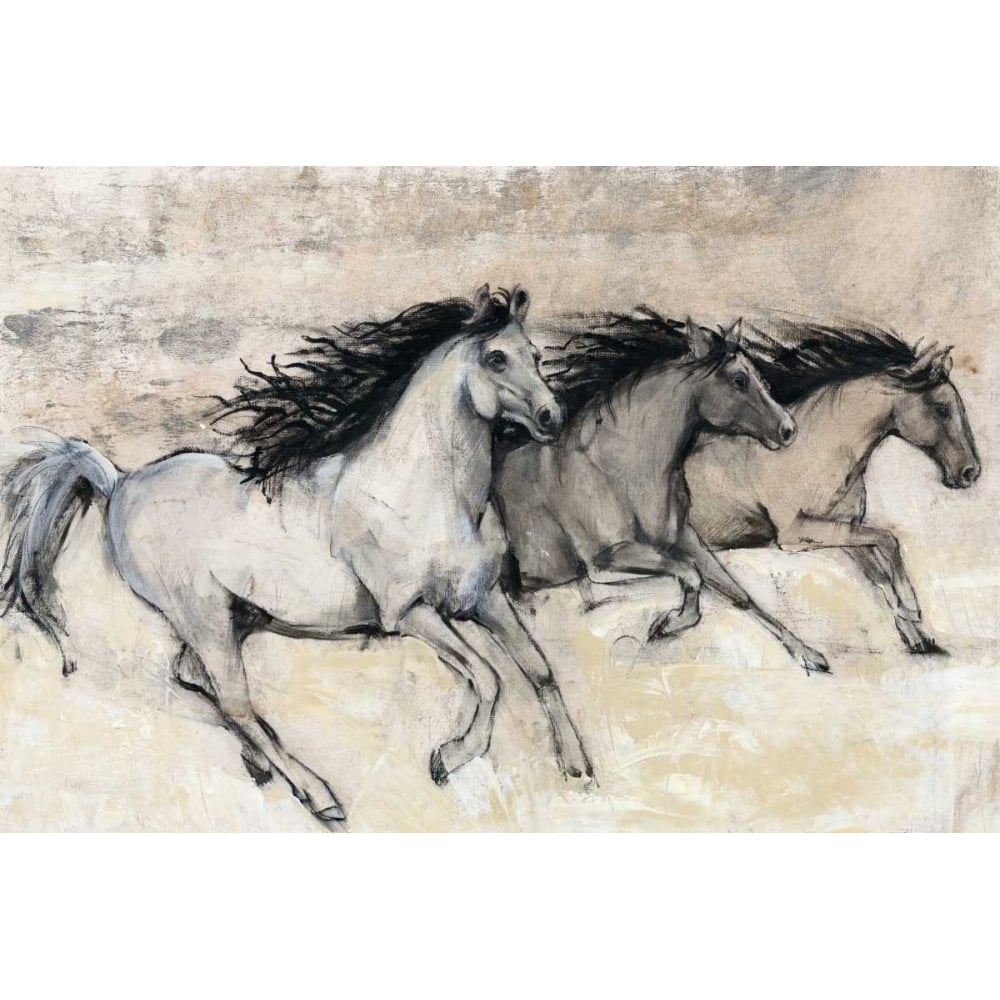 Horses in Motion II Poster Print - Tim OToole-VARPDX145070Z Image 1