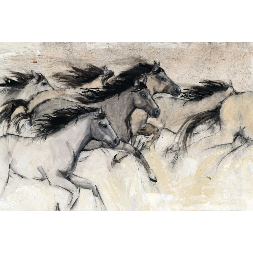 Horses in Motion I Poster Print - Tim OToole-VARPDX145069Z Image 1