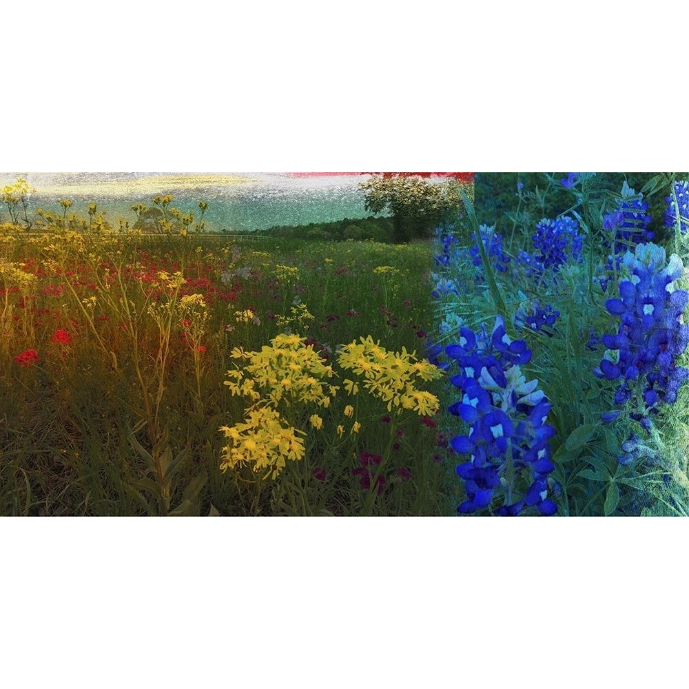 36x72 Wildflower Panorama-VARPDX145272VM Image 1