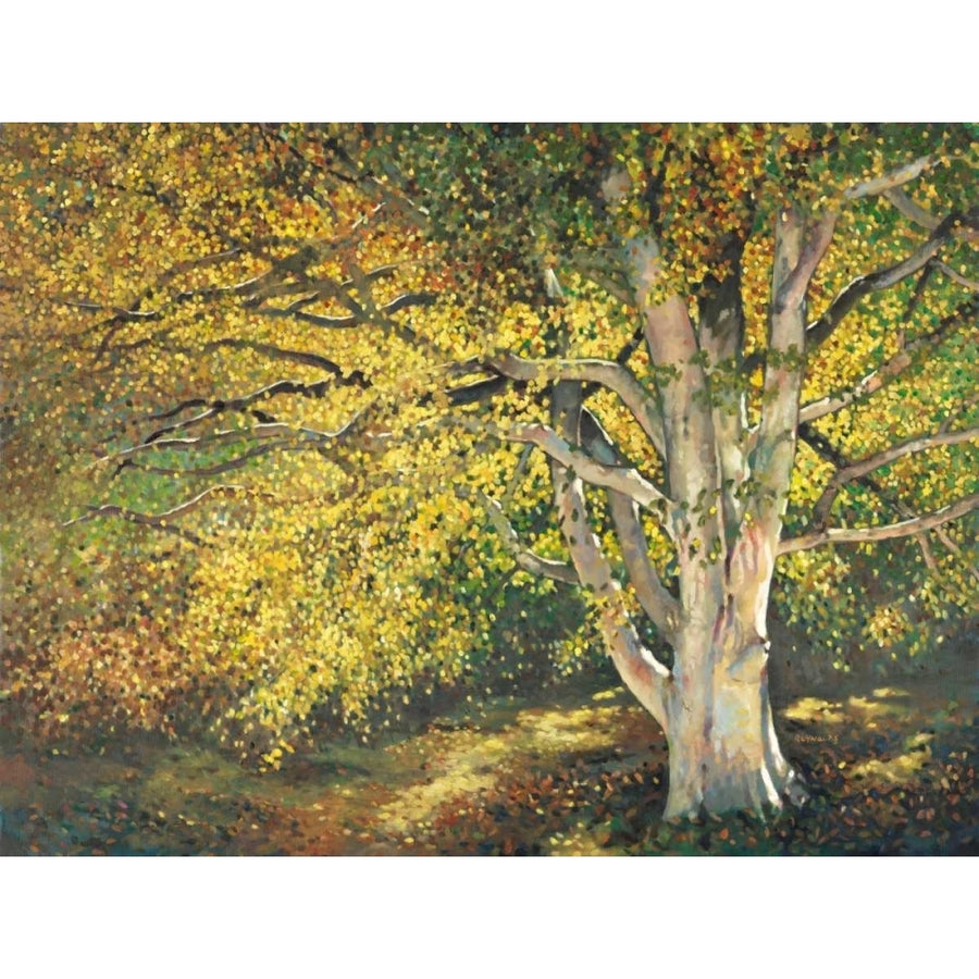 Golden Light I Poster Print - Graham Reynolds-VARPDX145339GG Image 1