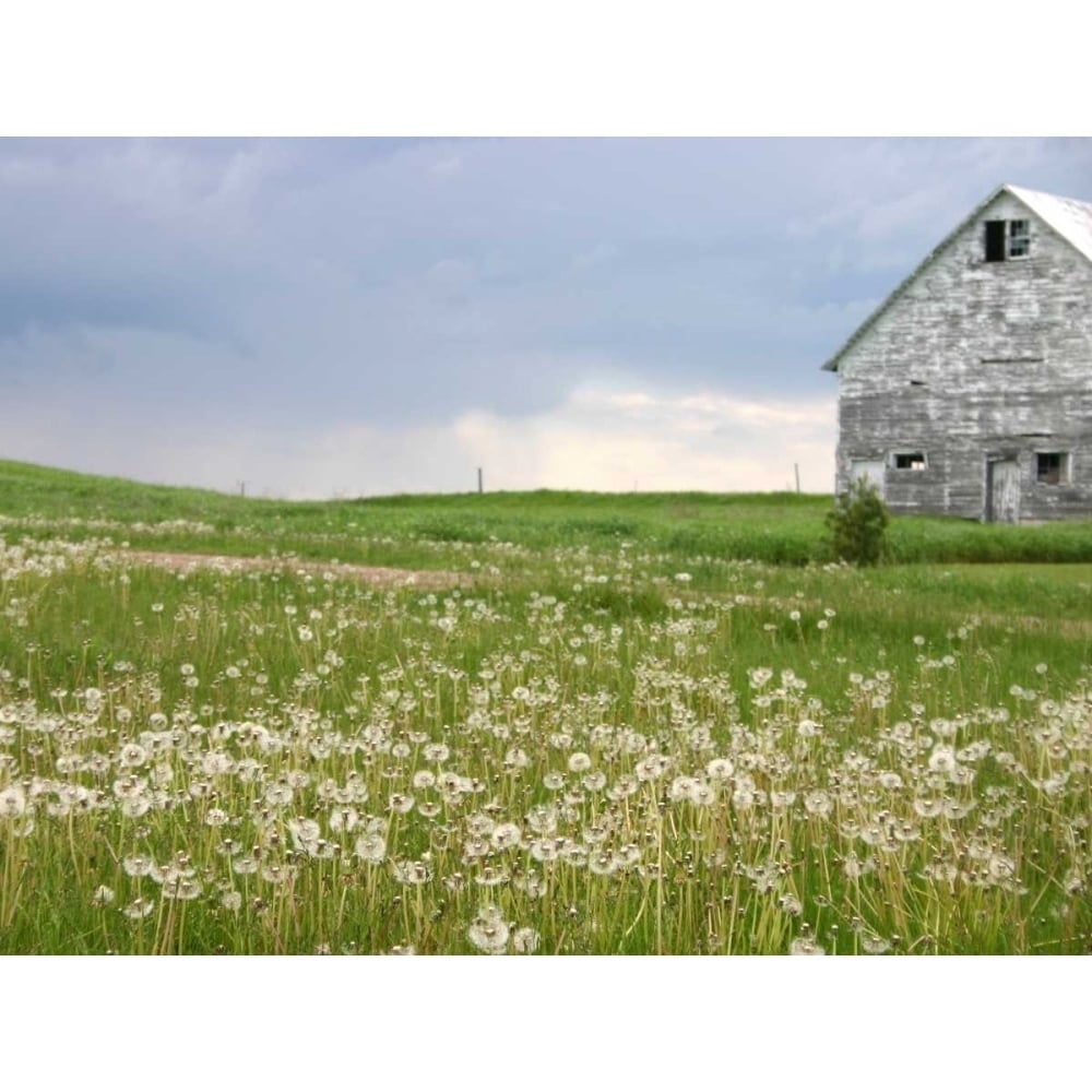 Barn Scape II Poster Print - Ingrid Blixt-VARPDX145342GG Image 1