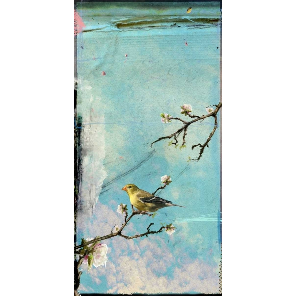 Bird Window II Poster Print - Ingrid Blixt-VARPDX145344GG Image 1