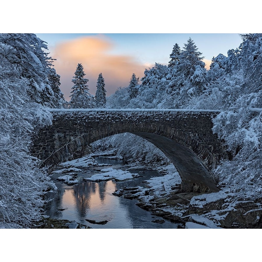 Highlands Bridge Poster Print - Rob Darby-VARPDX1454288 Image 1