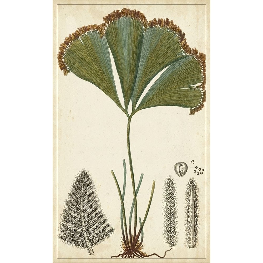 40x24 Foliage Botanique I-VARPDX145529VM Image 1