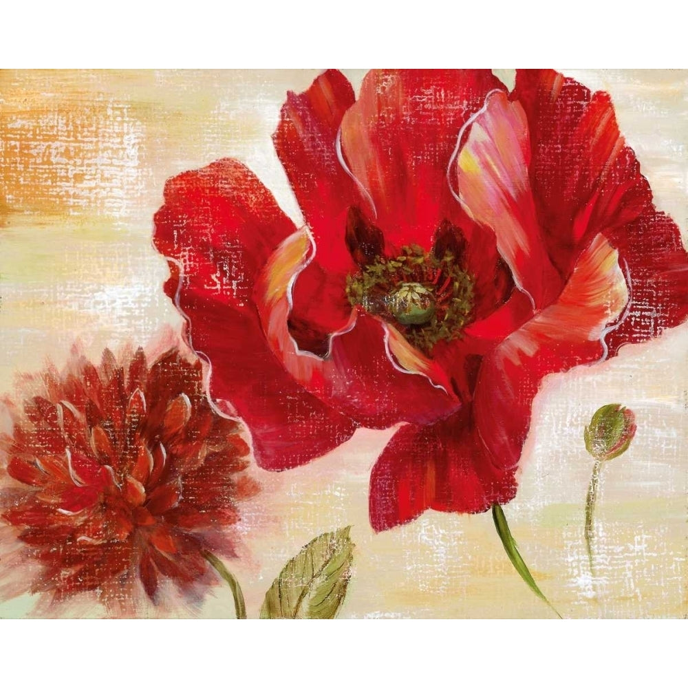 Passion For Poppies II Poster Print by Nan-VARPDX14557 Image 1