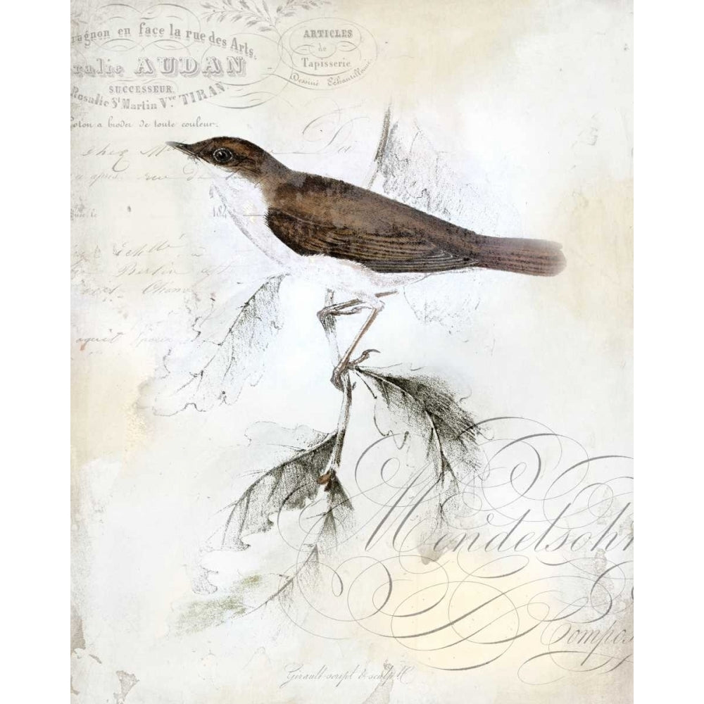 Rustic Gould II Poster Print - W Studio-VARPDX145765GG Image 1