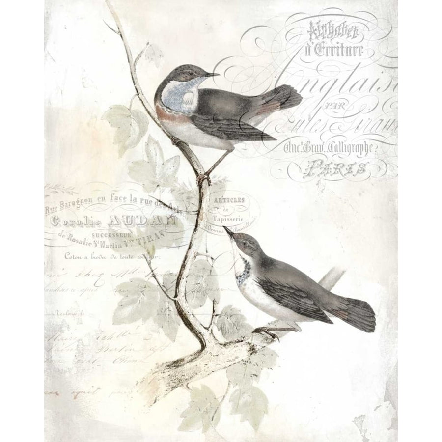 Rustic Gould IV Poster Print - W Studio-VARPDX145767GG Image 1