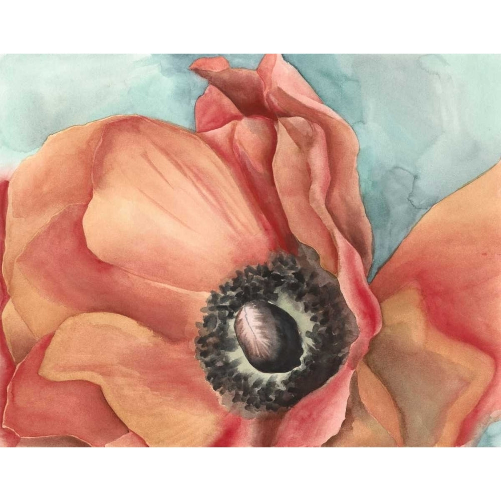 Watercolor Poppy I Poster Print - Meagher Megan-VARPDX145947Z Image 1