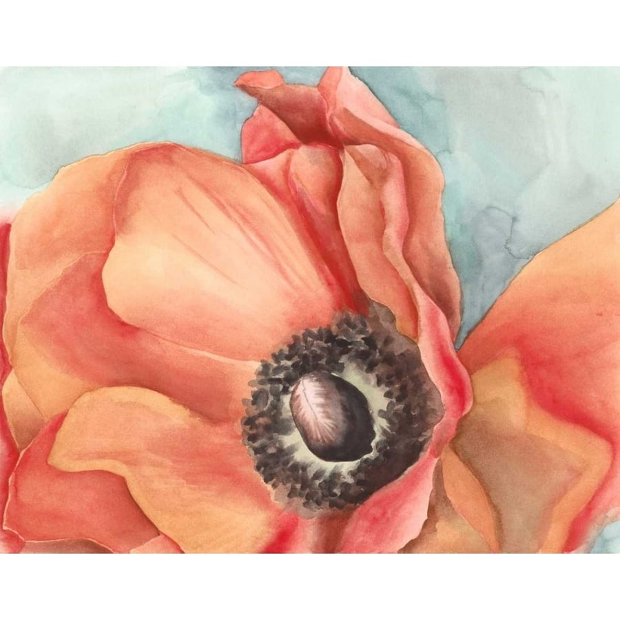 Watercolor Poppy I Poster Print - Megan Meagher-VARPDX145947GG Image 1