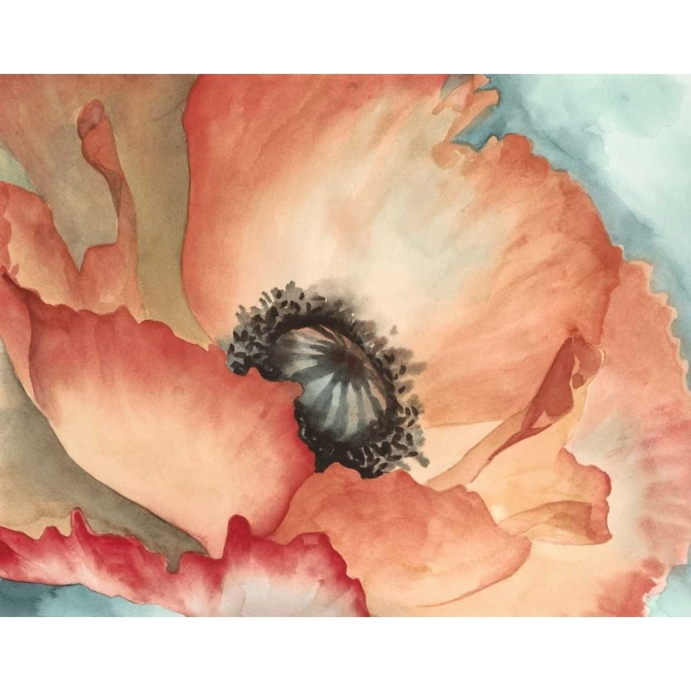 Watercolor Poppy II Poster Print - Meagher Megan-VARPDX145948Z Image 1