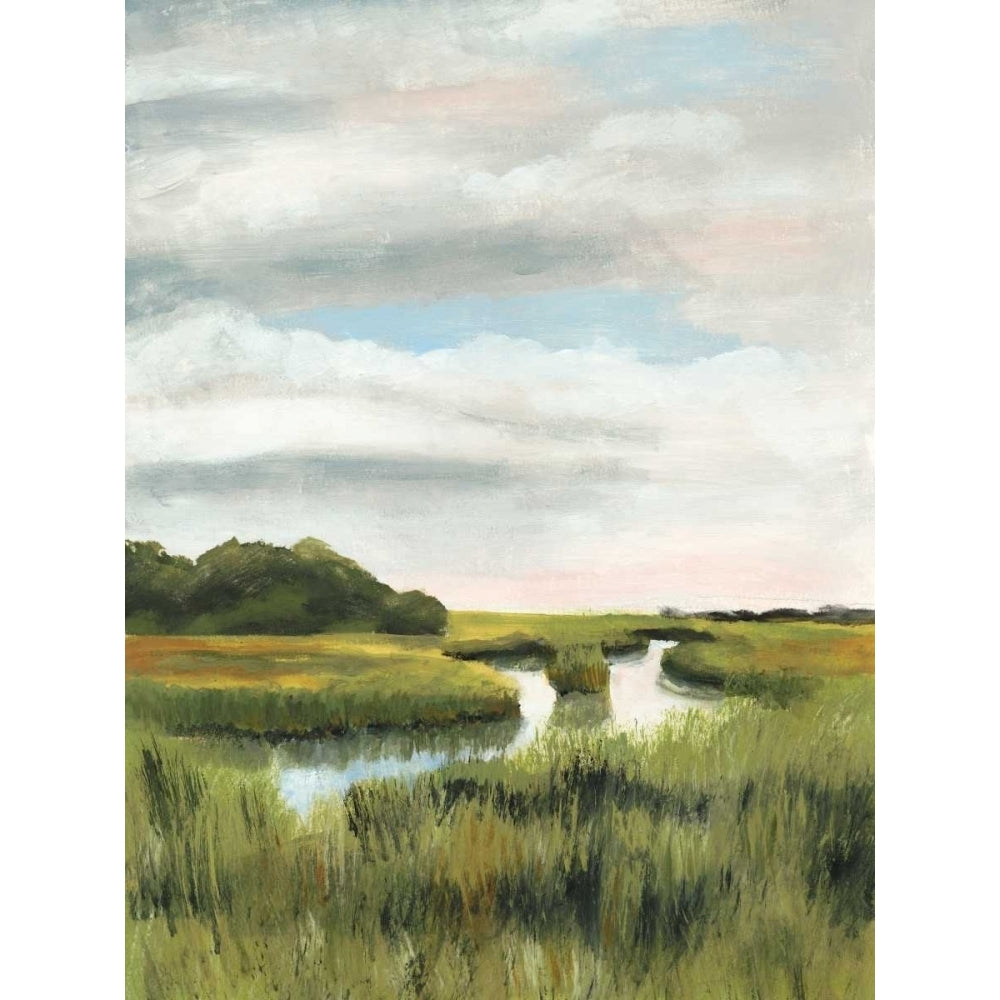 Marsh Landscapes I Poster Print - Naomi McCavitt-VARPDX145969Z Image 1