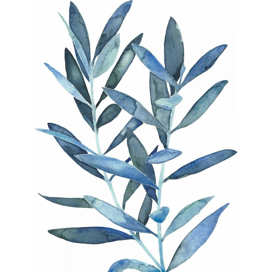 Indigo Leaves III Poster Print - Megan Meagher-VARPDX145953Z Image 1