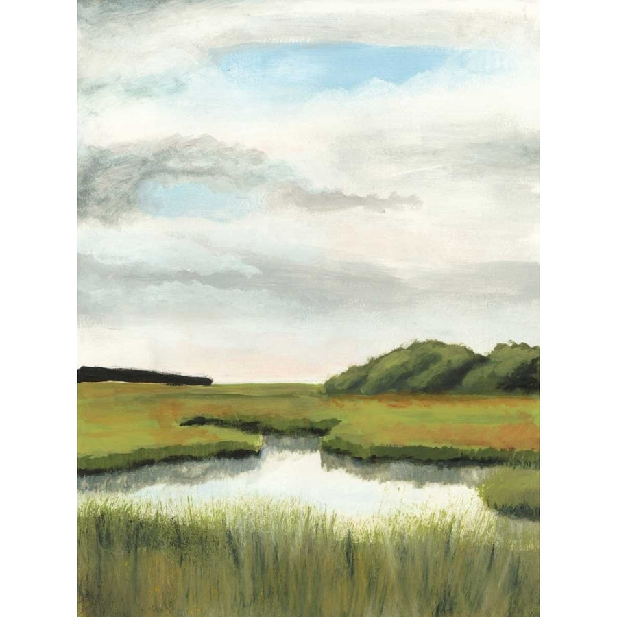 Marsh Landscapes II Poster Print - Naomi McCavitt-VARPDX145970Z Image 1