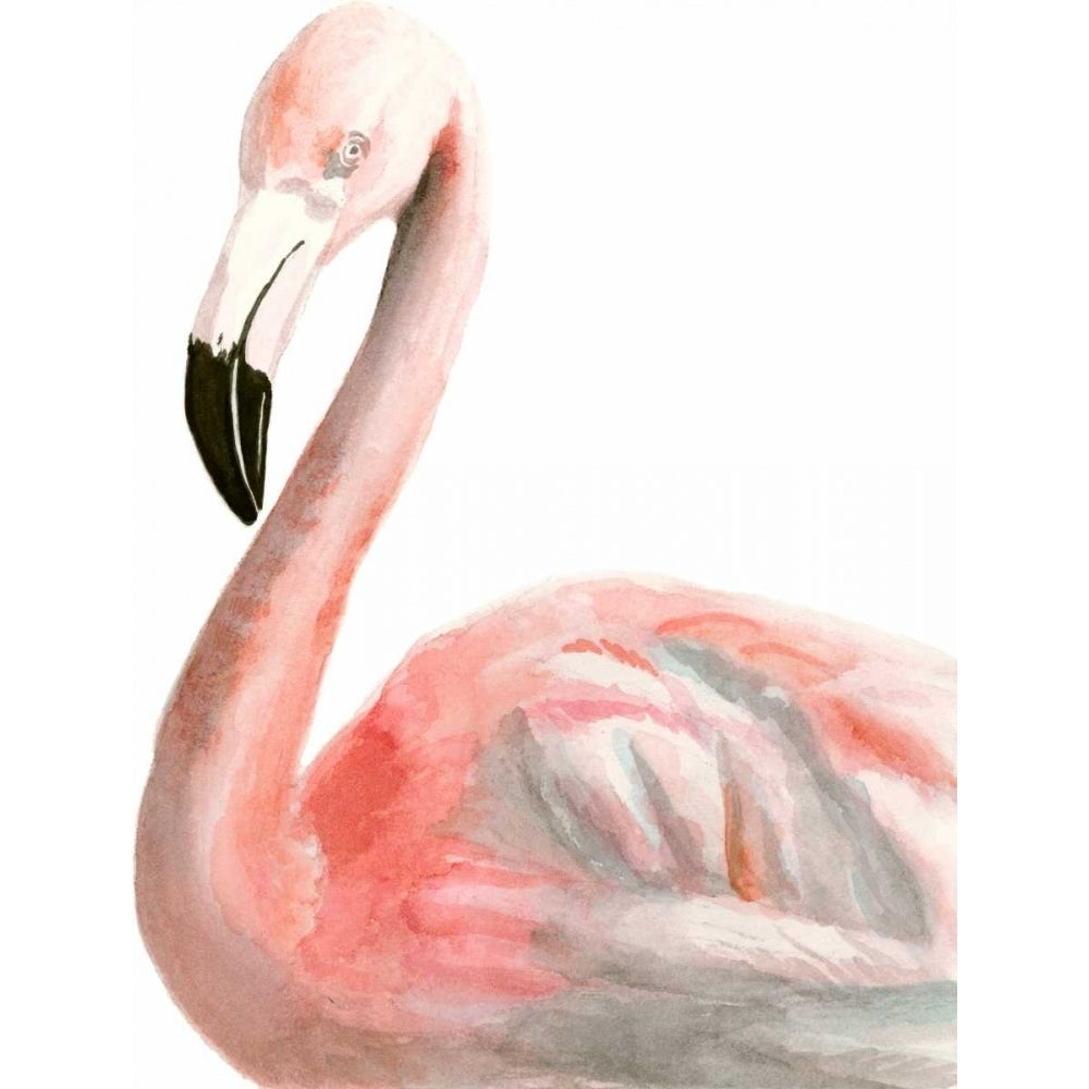 Watercolor Flamingo Poster Print - Naomi McCavitt-VARPDX145974Z Image 1