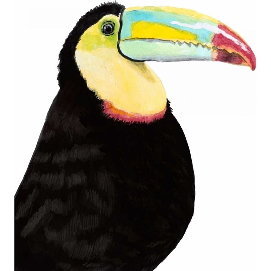 Watercolor Toucan Poster Print - Naomi McCavitt-VARPDX145973Z Image 1