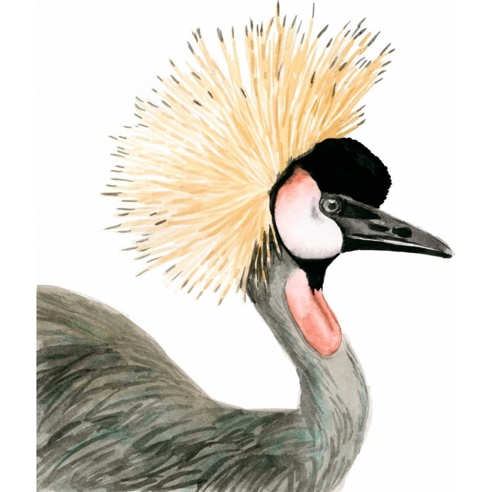 Watercolor Crested Crane Poster Print - Naomi McCavitt-VARPDX145975Z Image 1