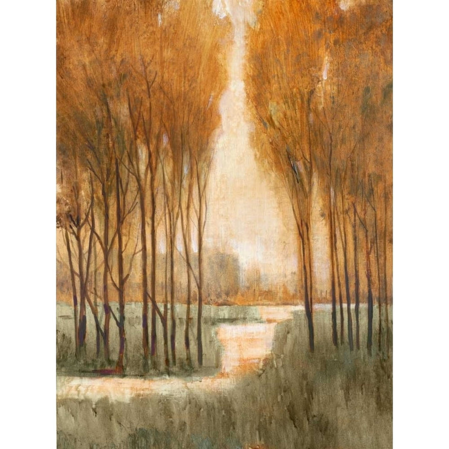 Golden Forest I Poster Print - Tim OToole-VARPDX146105GG Image 1