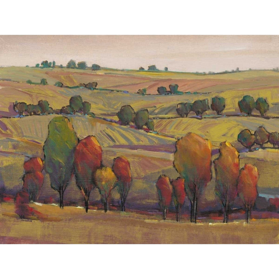 Rolling Hills I Poster Print - Tim OToole-VARPDX146113GG Image 1