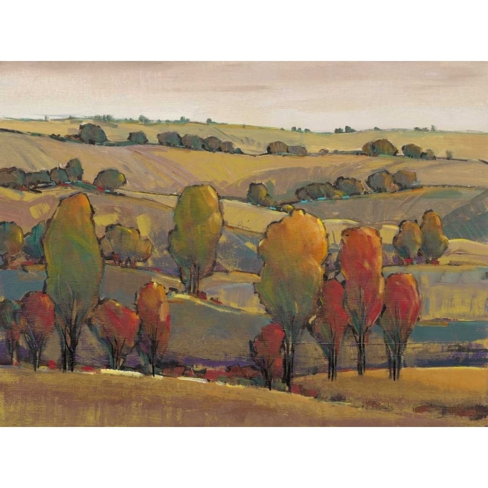 Rolling Hills II Poster Print - Tim OToole-VARPDX146114GG Image 1