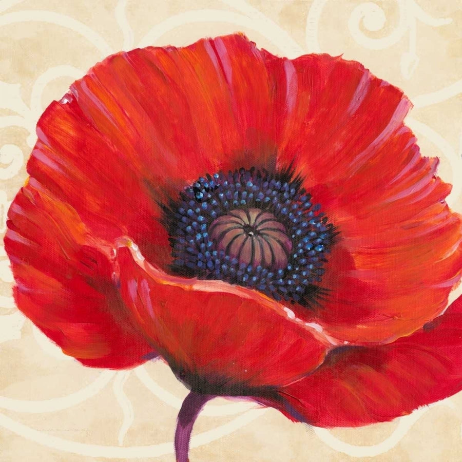 Red Poppy I Poster Print - Tim OToole-VARPDX146130D Image 1