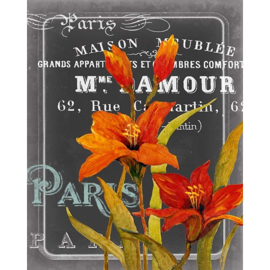 Chalkboard Paris I Poster Print - W Studio-VARPDX146242GG Image 1