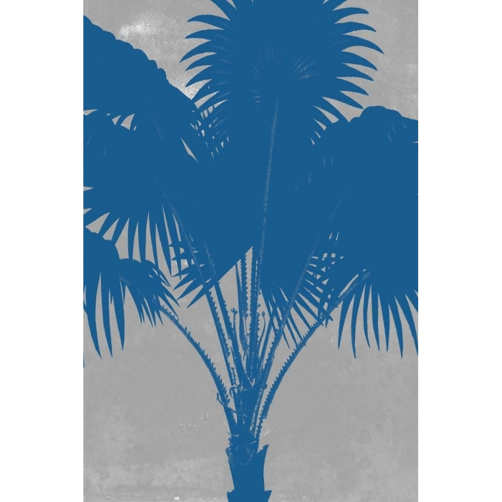 Chromatic Palms VI Poster Print - Jennifer Goldberger-VARPDX146463Z Image 1