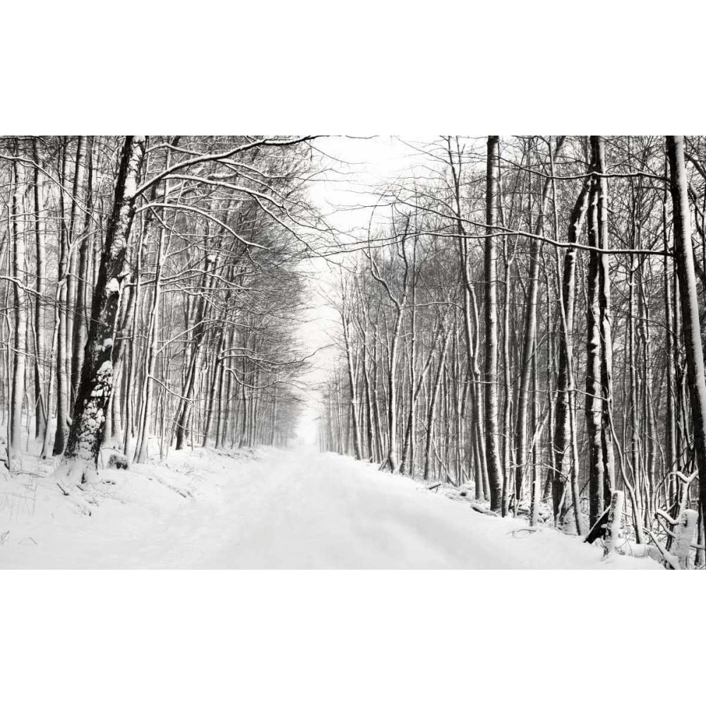 A Snowy Walk III Poster Print - James McLoughlin-VARPDX146803GG Image 1