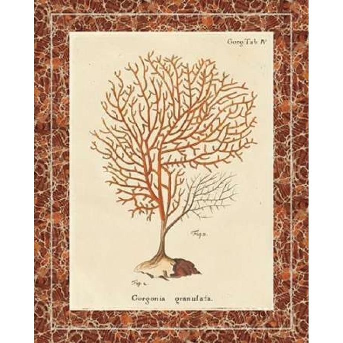 Gorgonia Granulata Marble Poster Print by Wild Apple Portfolio-VARPDX14691 Image 1