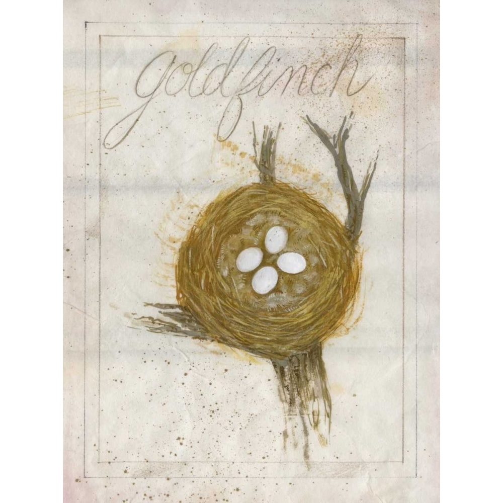 Nest - Goldfinch Poster Print - Elissa Della-Piana-VARPDX147285D Image 1