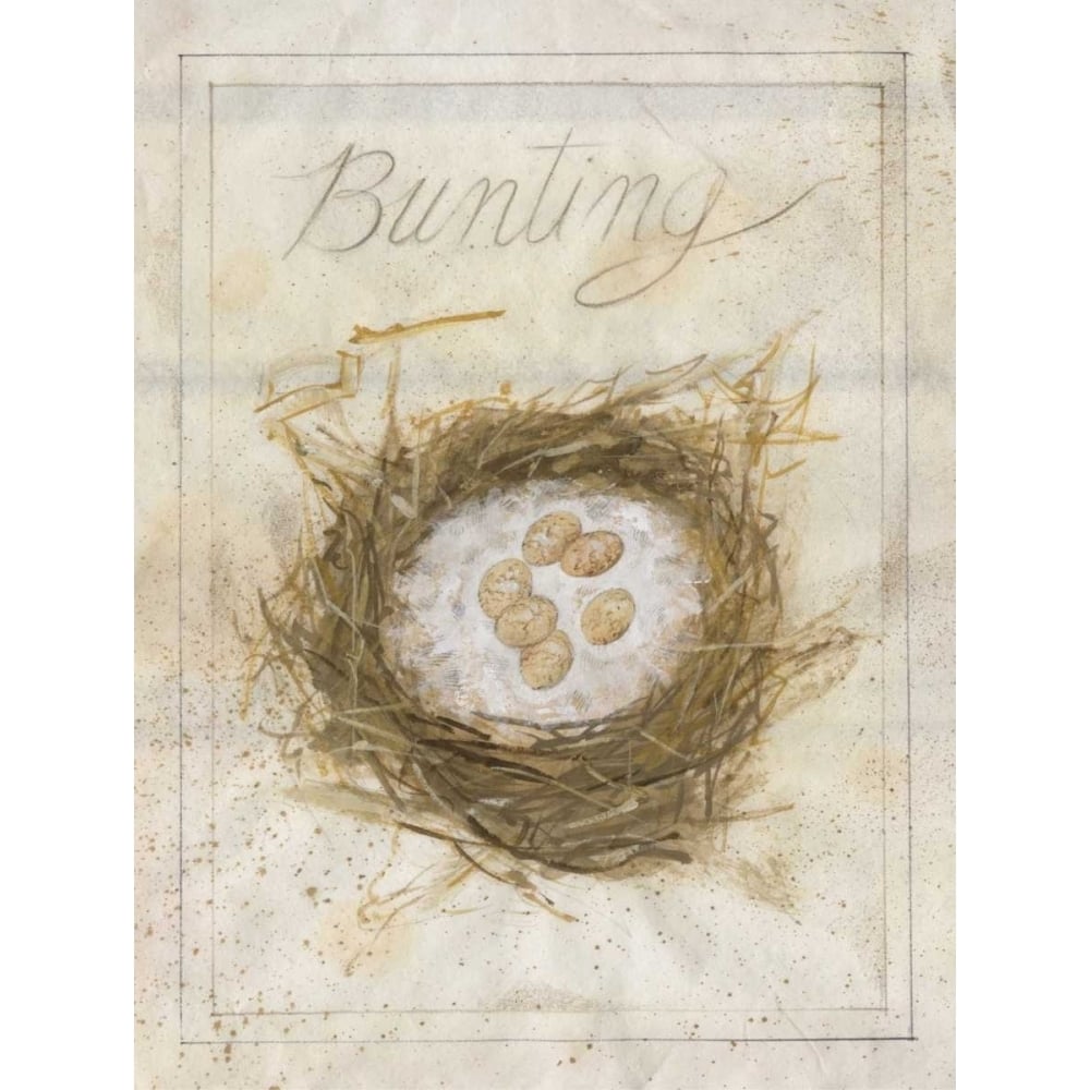 Nest - Bunting Poster Print - Elissa Della-Piana-VARPDX147284D Image 1