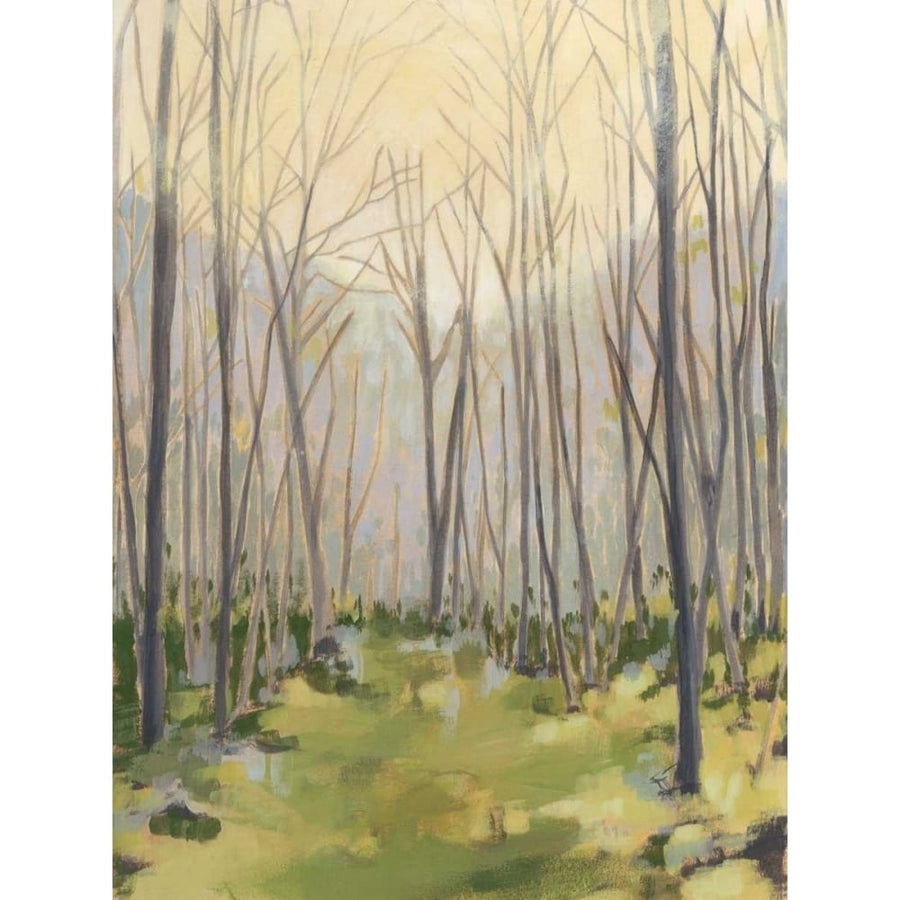 Delicate Forest II Poster Print - Megan Meagher-VARPDX147532FN Image 1