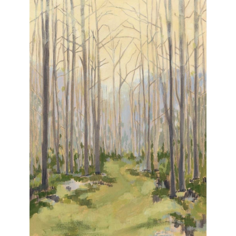 Delicate Forest I Poster Print - Megan Meagher-VARPDX147531FN Image 1