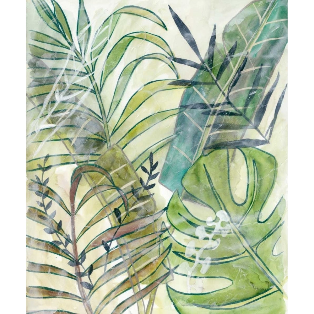 Layered Palms I Poster Print - Chariklia Zarris-VARPDX147770Z Image 1