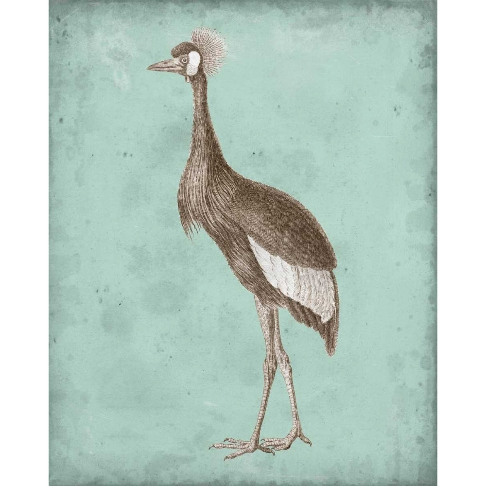 Sepia and Spa Heron II Poster Print - Studio Vision-VARPDX147836Z Image 1