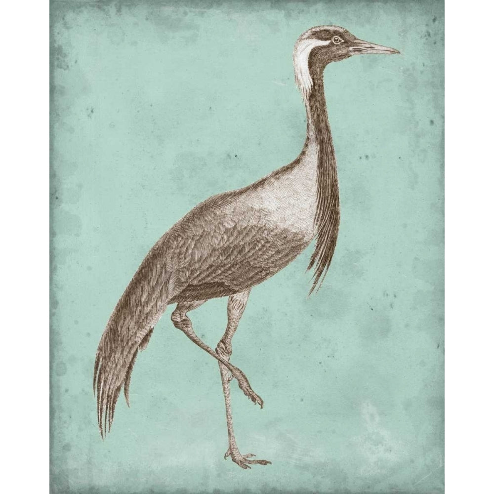 Sepia and Spa Heron III Poster Print - Studio Vision-VARPDX147837Z Image 1