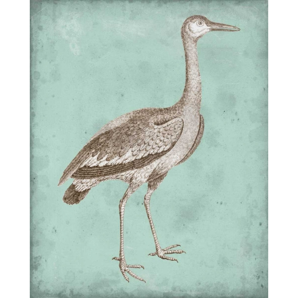 Sepia and Spa Heron I Poster Print - Studio Vision-VARPDX147835Z Image 1