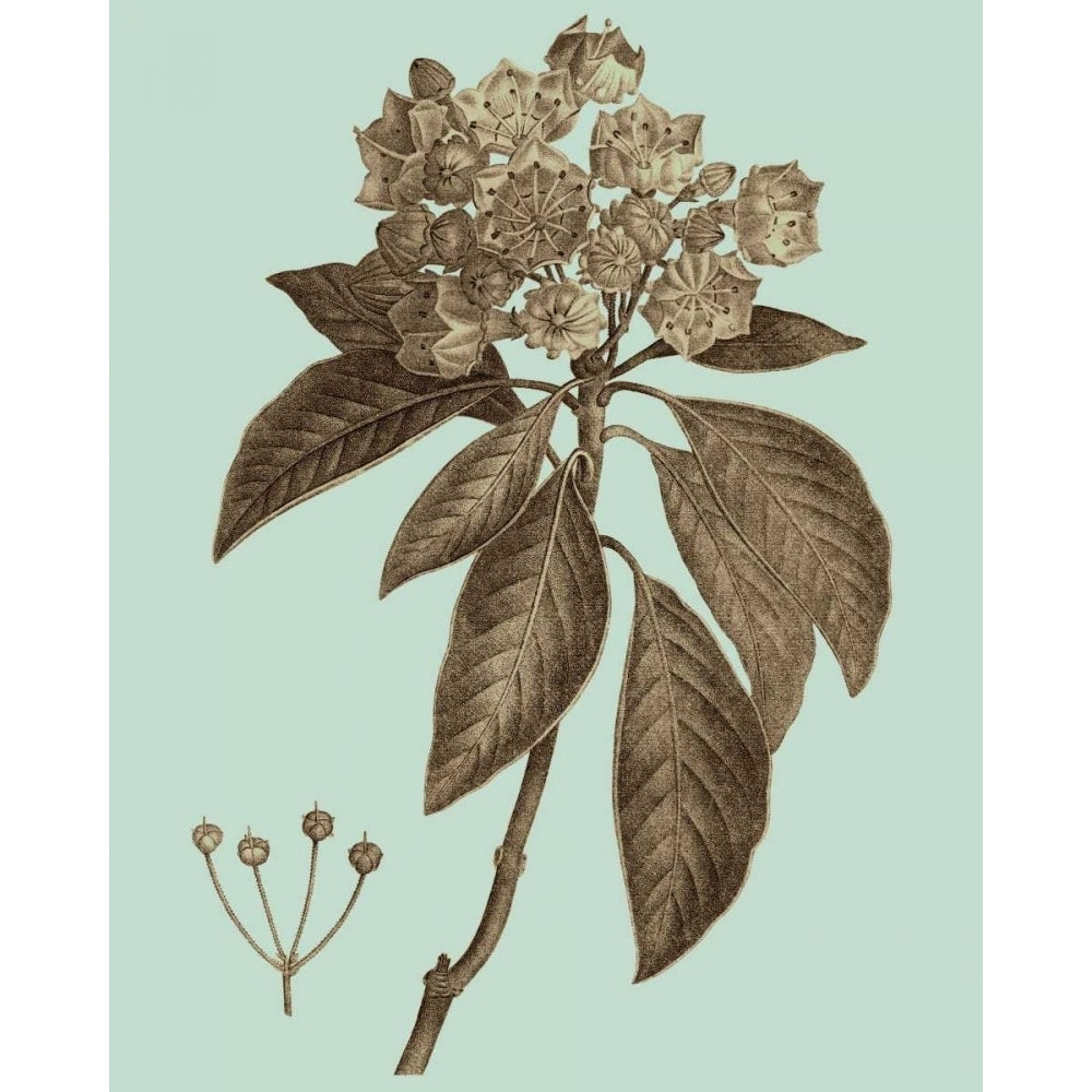 Flowering Trees V Poster Print - Studio Vision-VARPDX147843Z Image 1