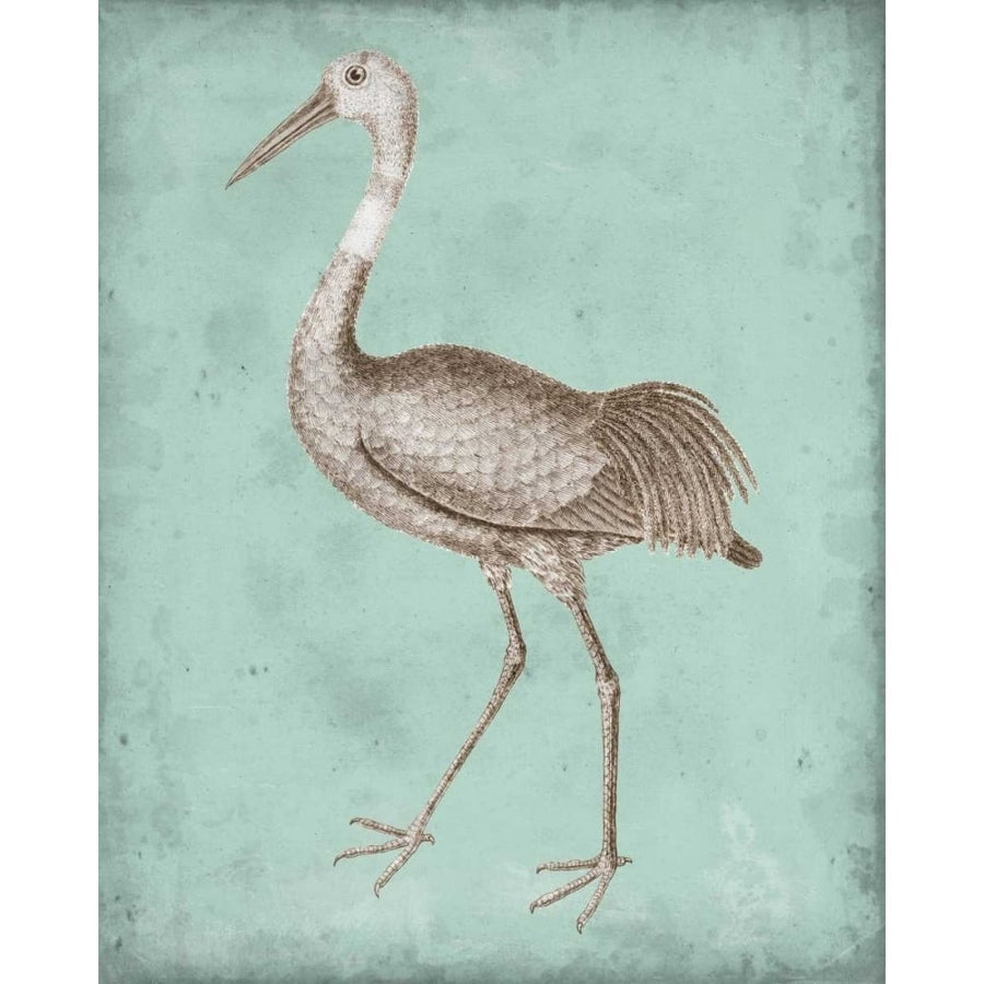 Sepia and Spa Heron IV Poster Print - Studio Vision-VARPDX147838Z Image 1