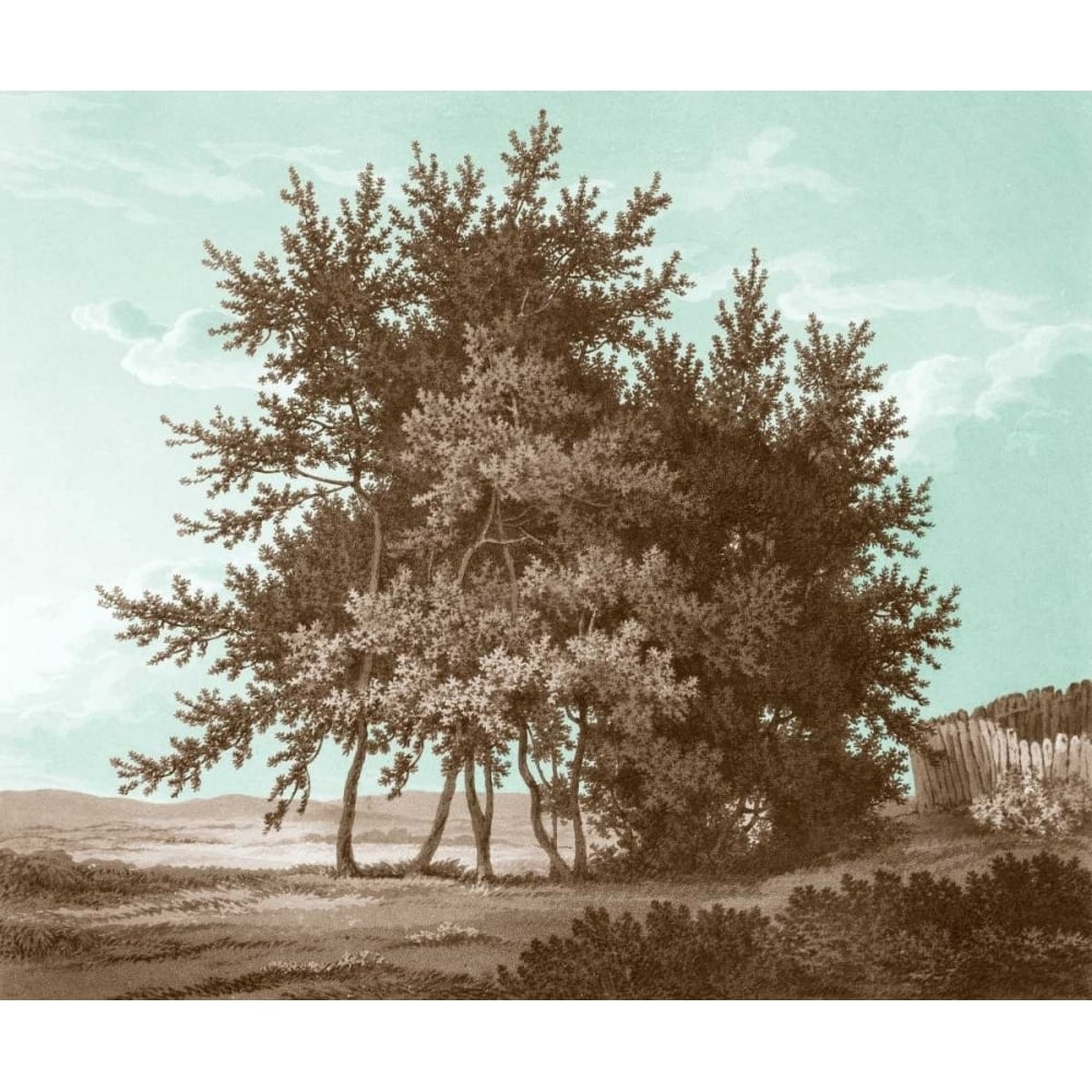 Serene Trees IV Poster Print - Edward Kennion-VARPDX147860Z Image 1