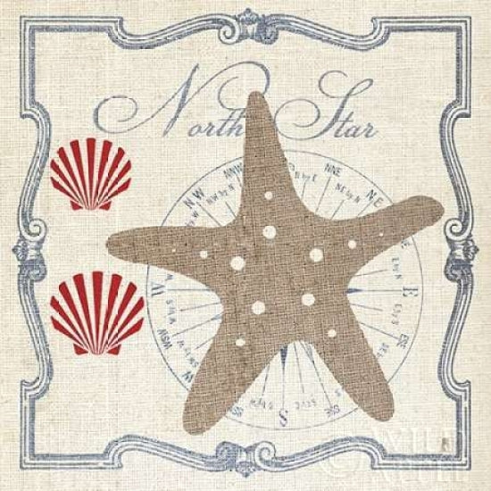 Pacific Starfish Poster Print by Studio Mousseau-VARPDX14825 Image 1