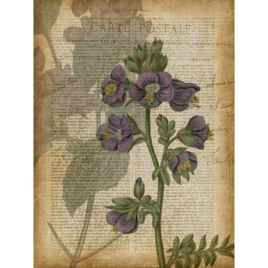 Fuchsia Flowers I Poster Print - W Studio-VARPDX148311GG Image 1