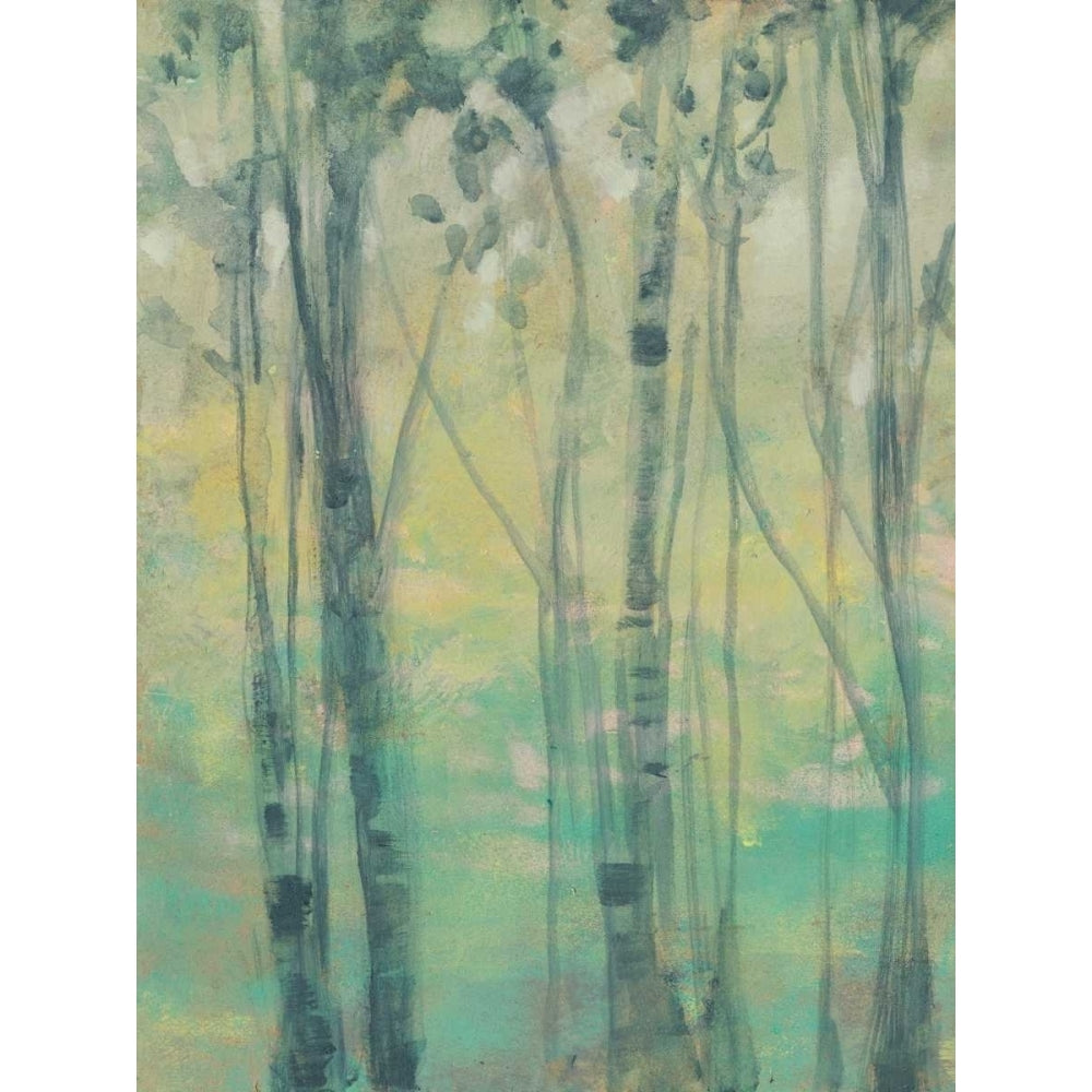 The Light in the Trees I Poster Print - Jennifer Goldberger-VARPDX148316GG Image 1