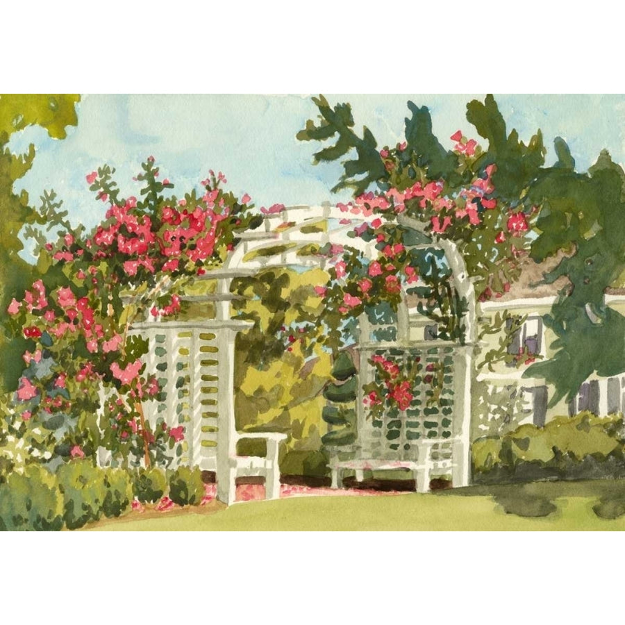 Aquarelle Garden VIII Poster Print - Dianne Miller-VARPDX148718Z Image 1